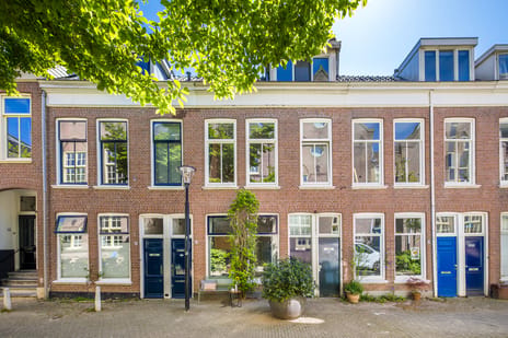 Adriaanstraat thumbnail