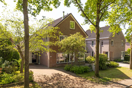 Homerusstraat thumbnail