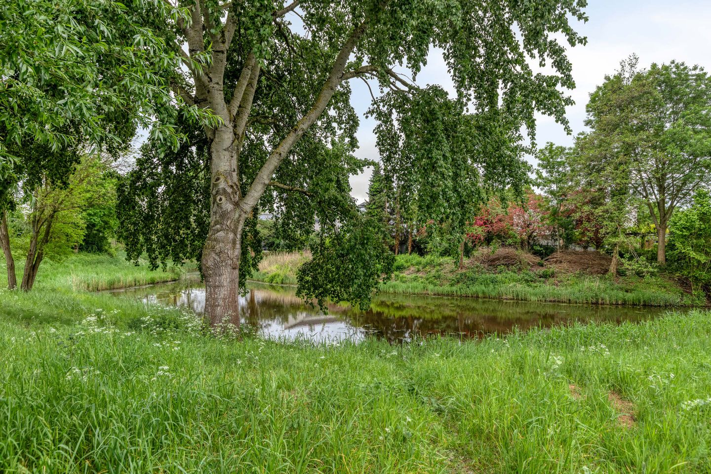 Foto 40 van Fleurberg 14