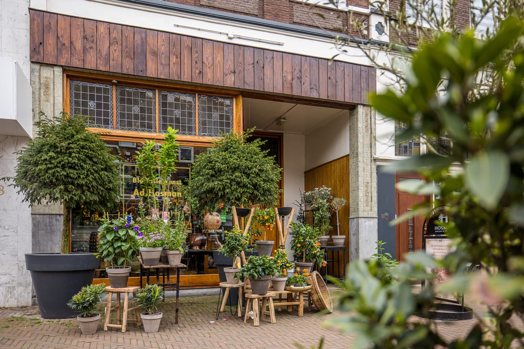 Foto 41 van Adriaanstraat 41