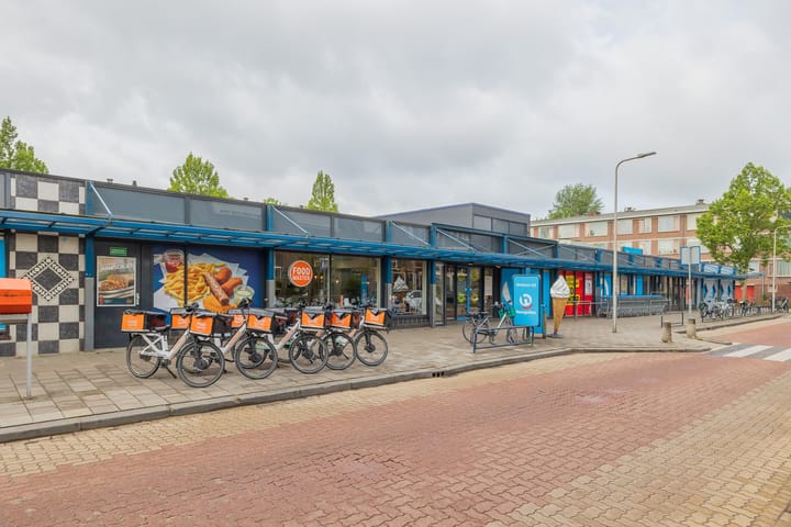 Linnaeusweg 100, Boskoop