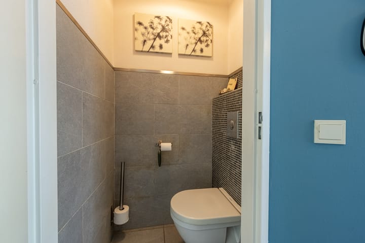 Foto 4 van Zilvermeeuw 34