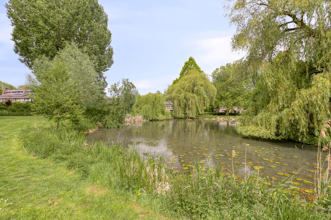 Photo 68 of Buntlaar 23