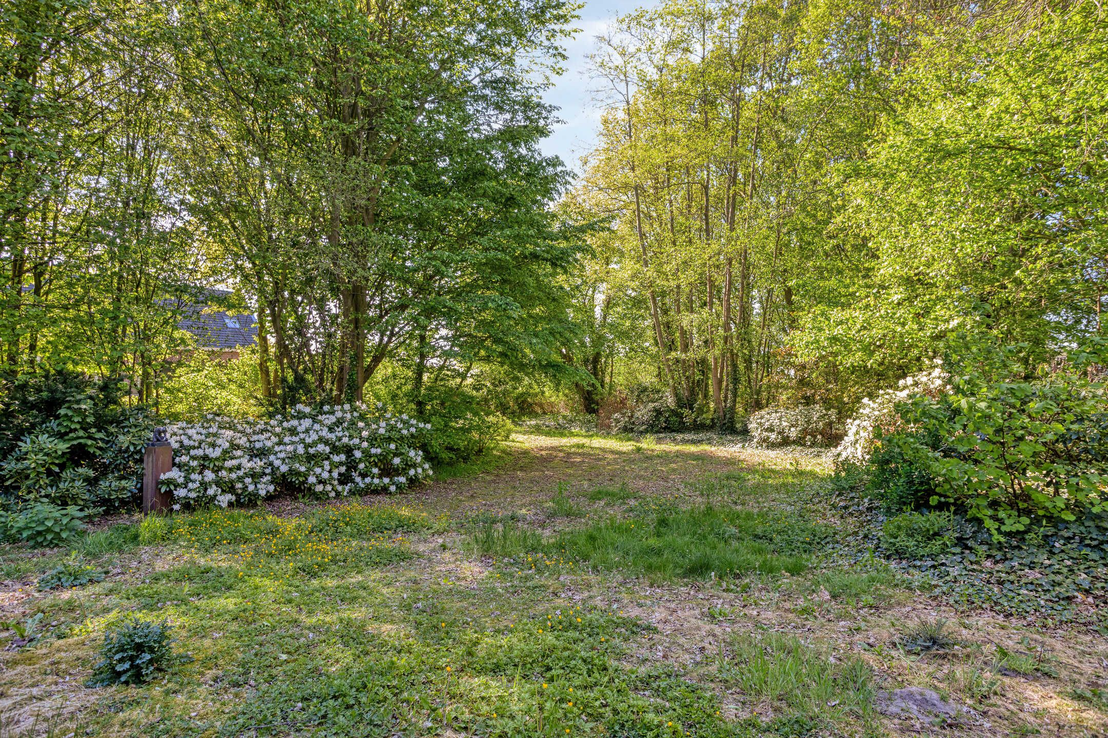 Foto 45 van Hild 8