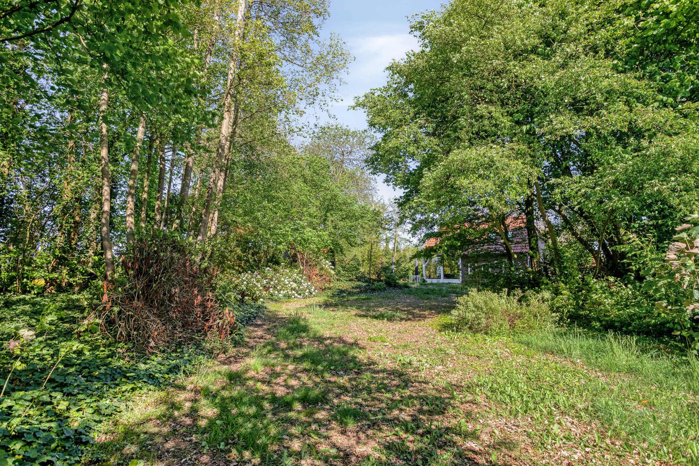 Foto 44 van Hild 8