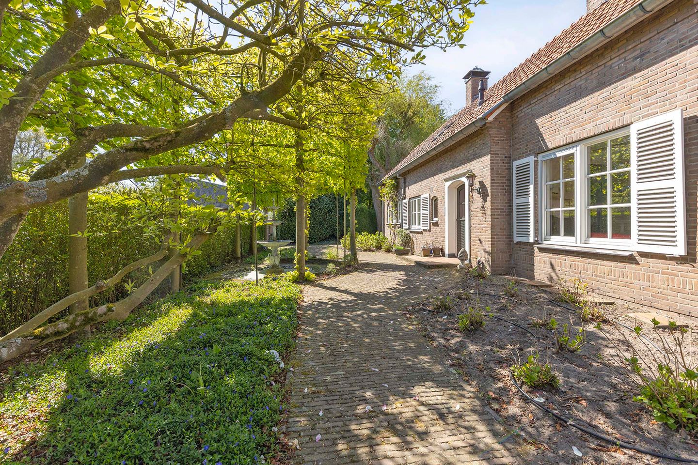 Foto 10 van Hild 8