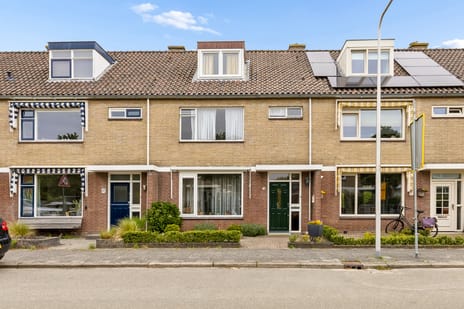 H Roland Holststraat thumbnail