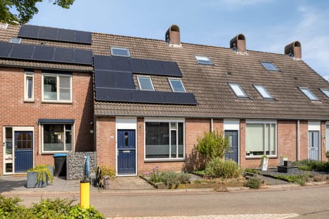 Koperwiek thumbnail