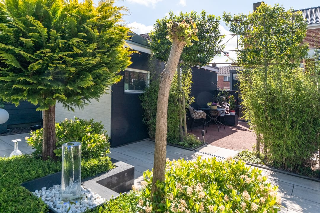 Photo 37 of Burgemeester Borgerstraat 25