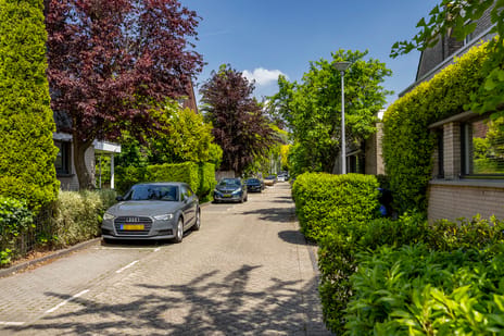 Ogier van Cralingenpark thumbnail