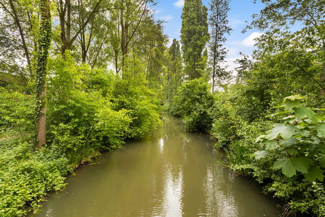 Photo 52 of Zwarte Woud 113