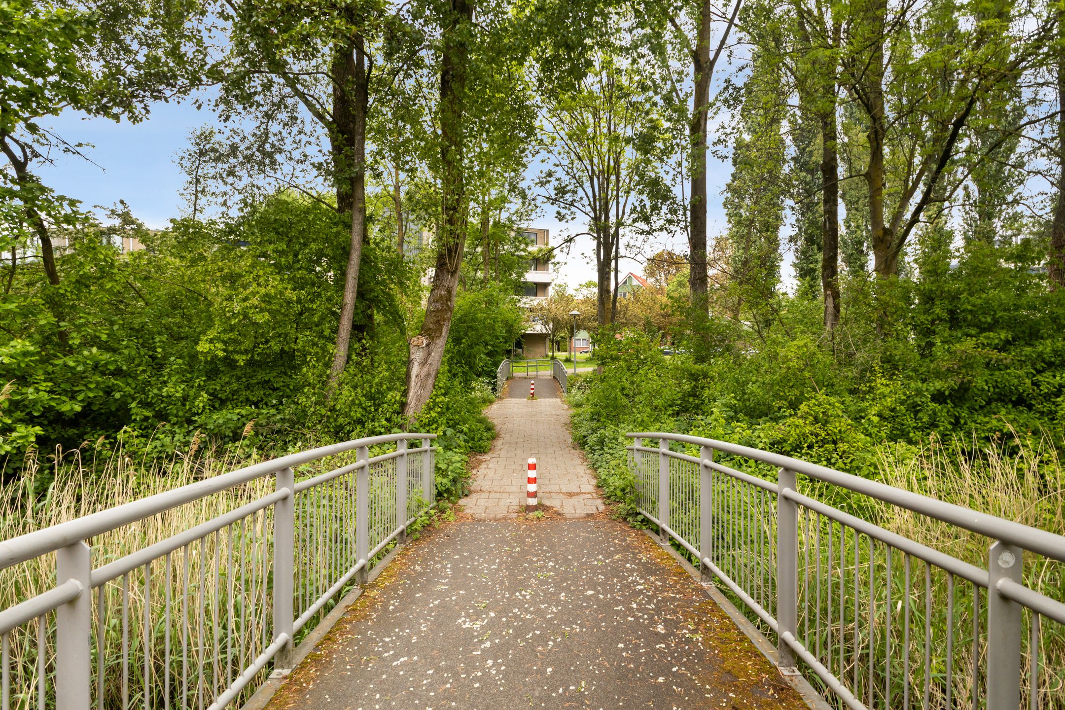 Photo 51 of Zwarte Woud 113