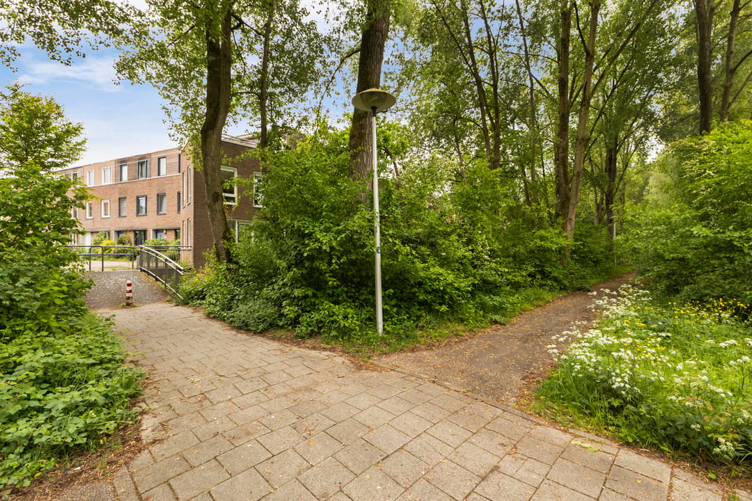 Photo 53 of Zwarte Woud 113