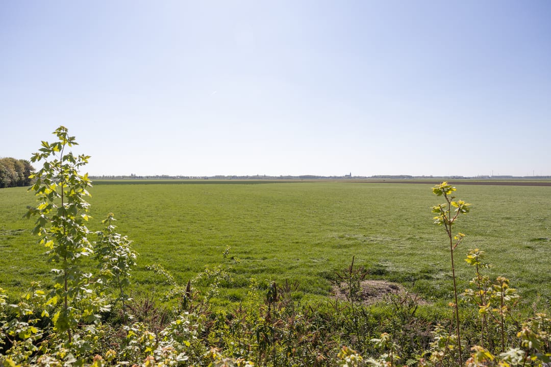 Photo 41 of Gastelsedijk West 18