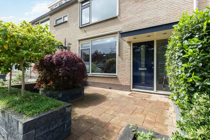 Foto 4 van Calvijnhof 13