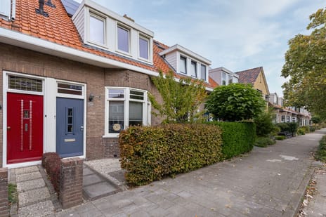Drieboomlaan thumbnail