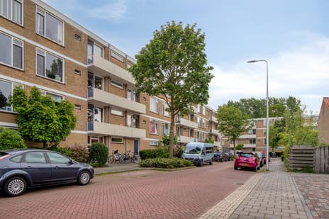 Cederstraat thumbnail