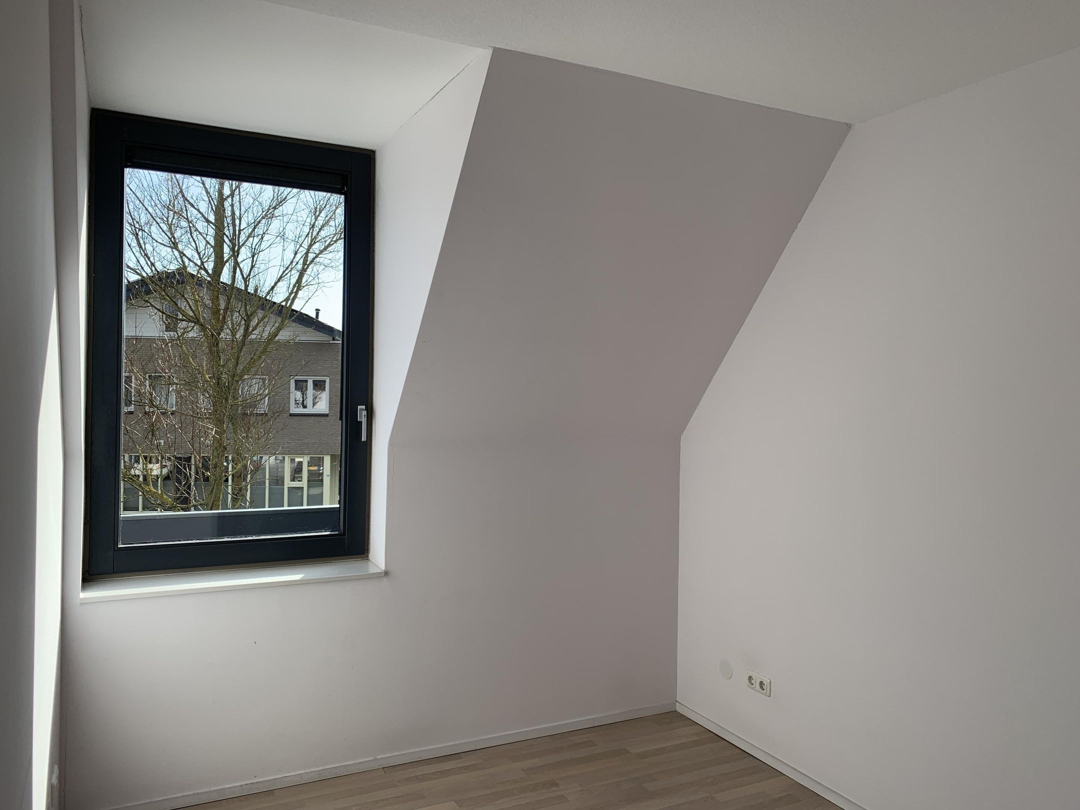Photo 15 of Smelen 46