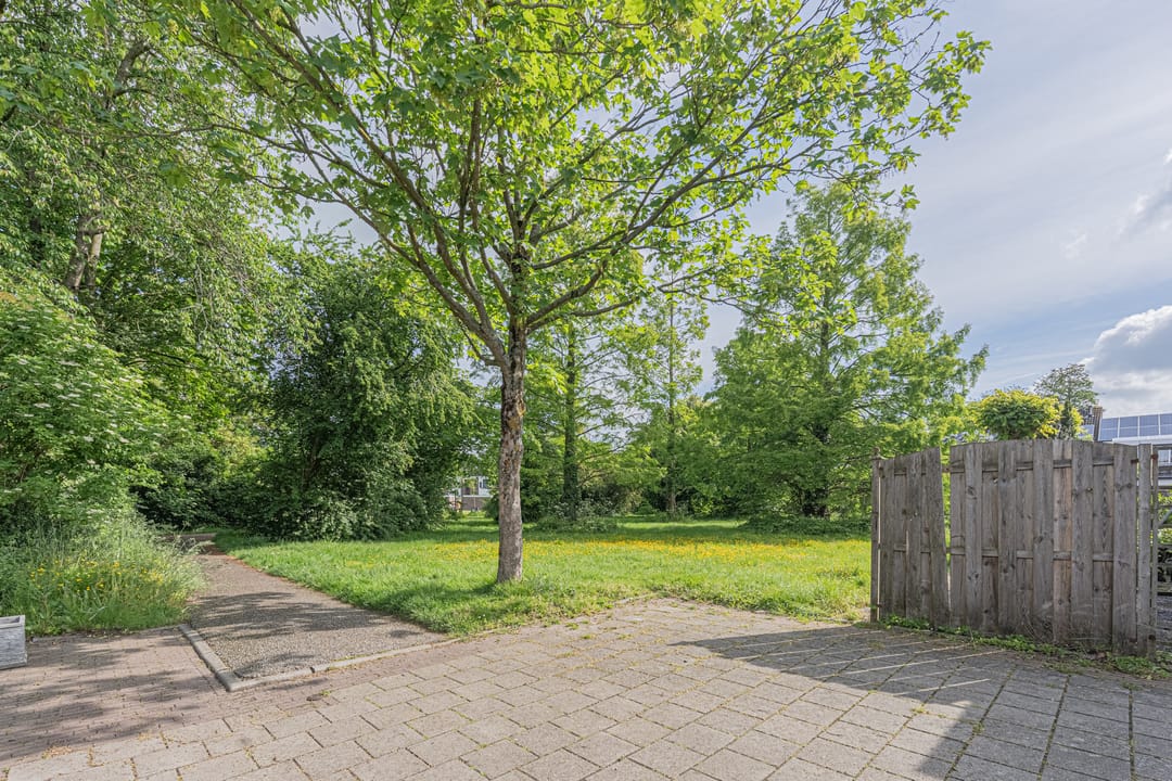 Photo 11 of Rooseveltlaan 22