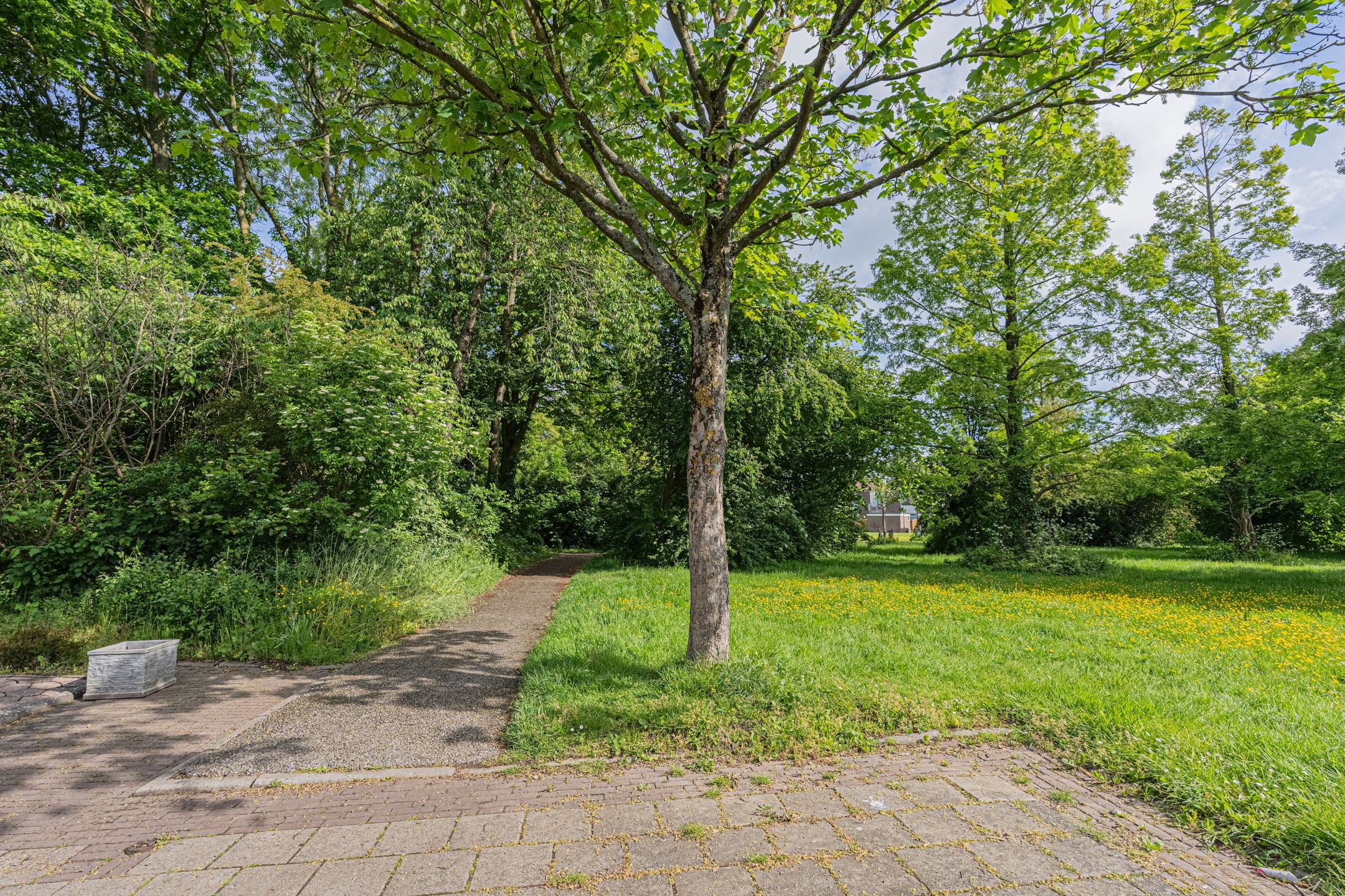 Photo 12 of Rooseveltlaan 22