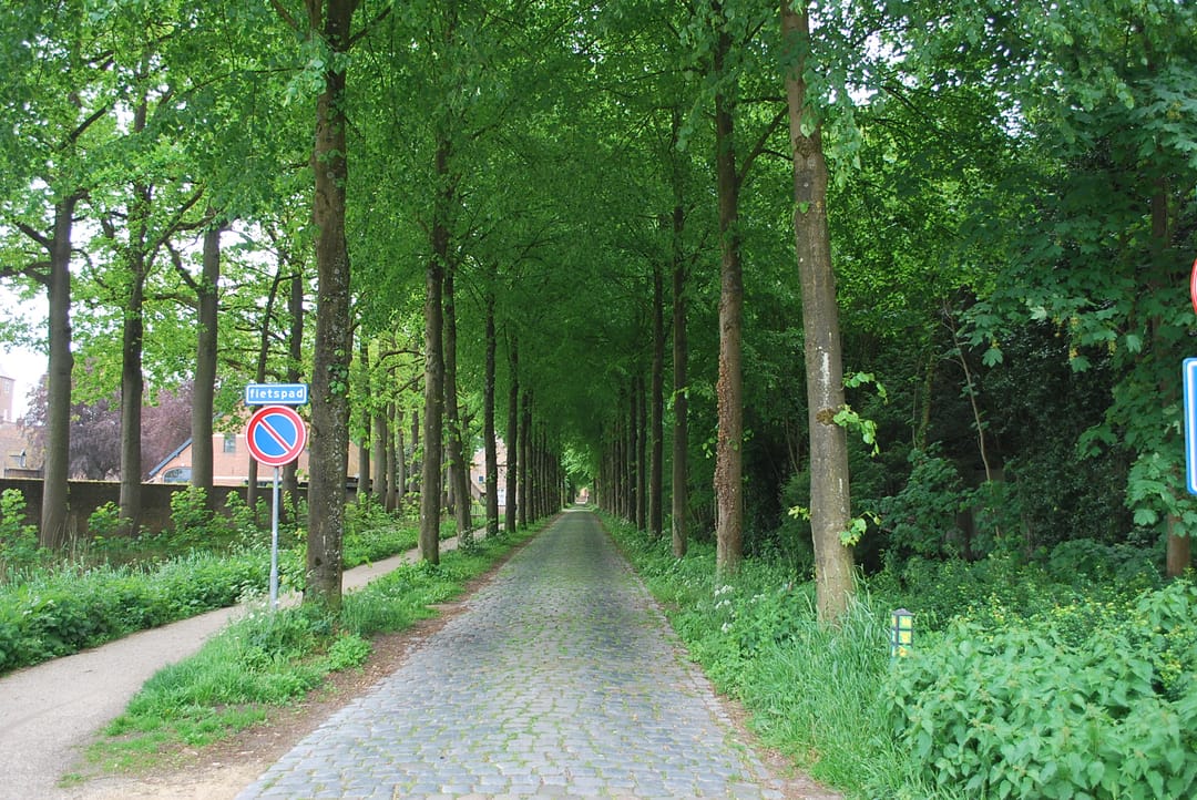 Photo 41 of Nonnenveld 30