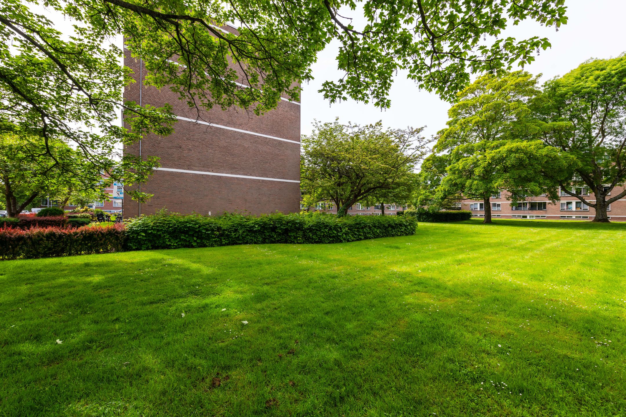 Foto 42 van Bredenoord 193