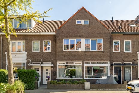Beukstraat thumbnail