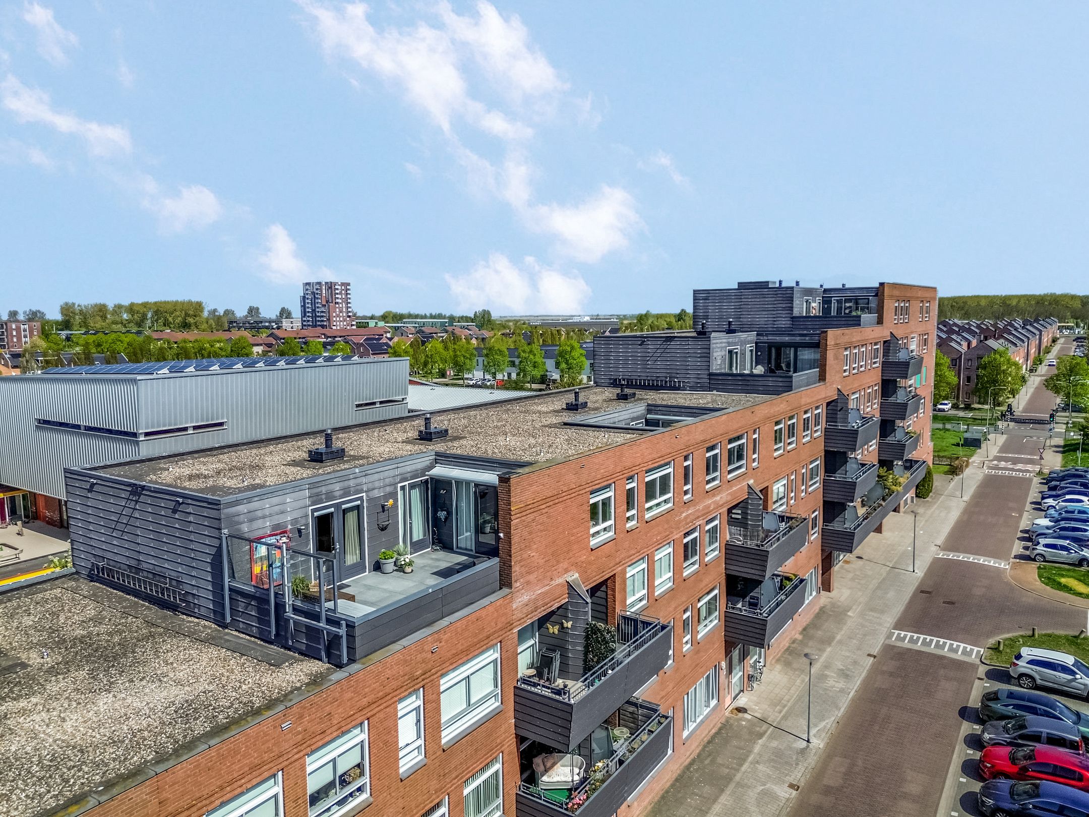 Daan Hoeksemastraat 115 