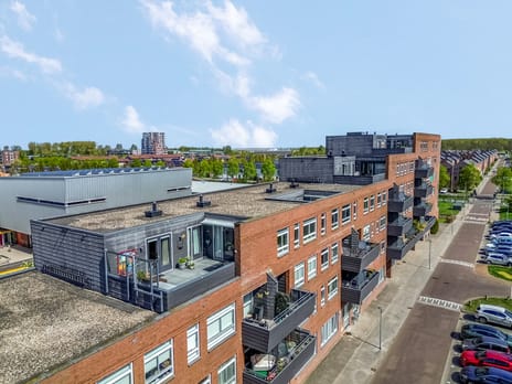 Daan Hoeksemastraat thumbnail
