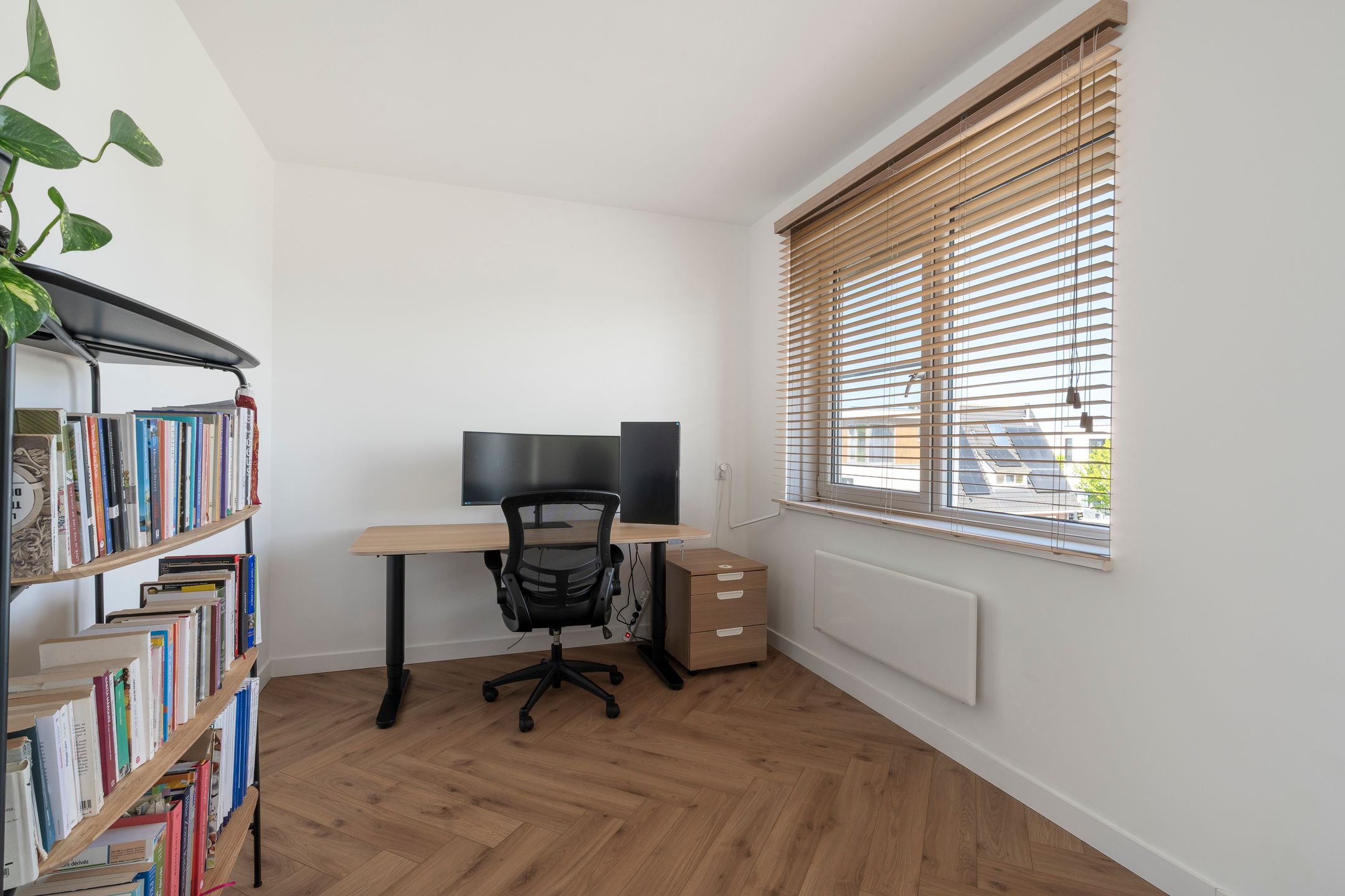 Foto 42 van Latijnzeil 58