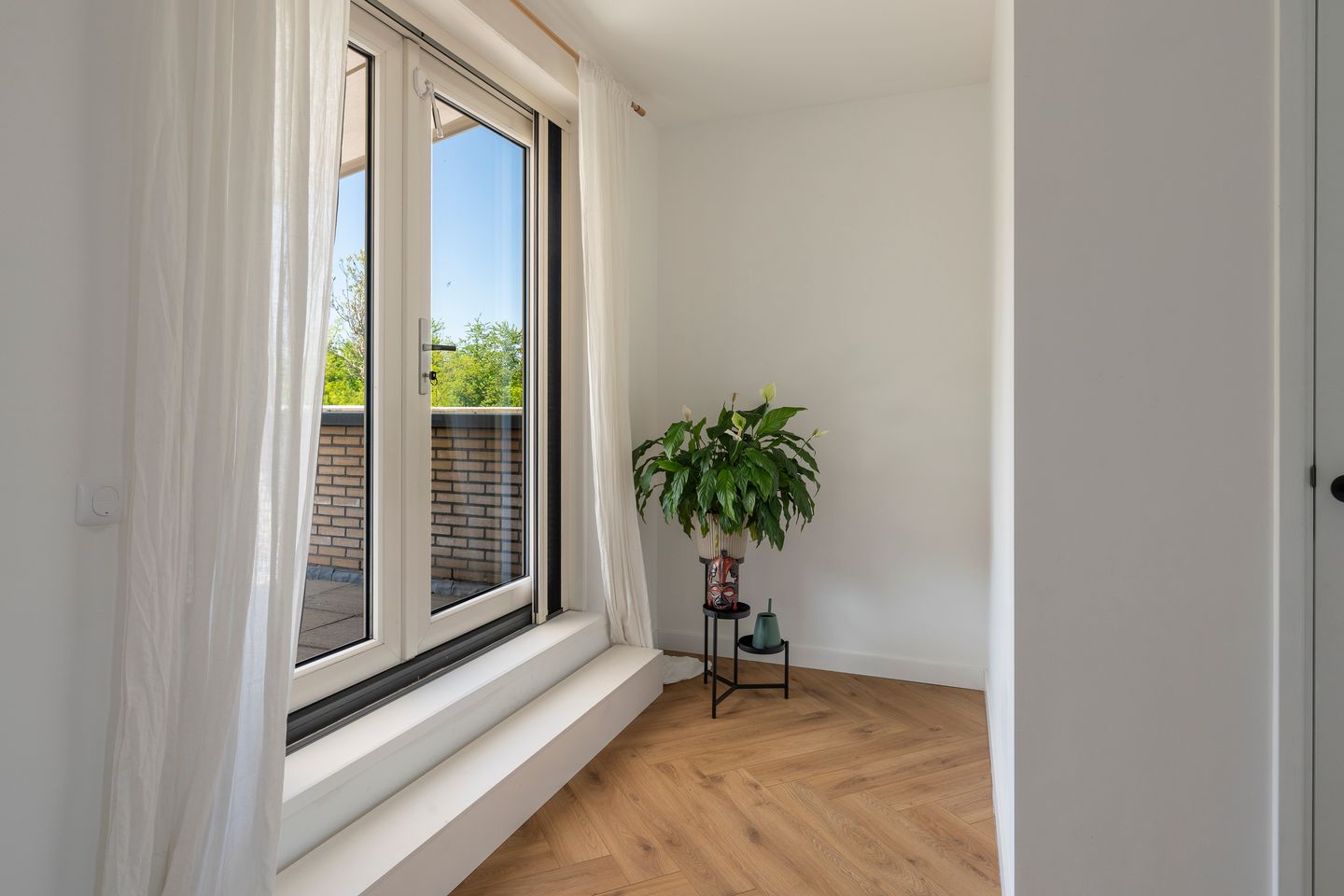 Foto 40 van Latijnzeil 58