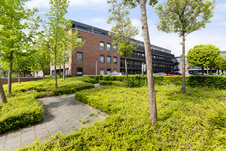 Burgemeester Brouwerstraat thumbnail