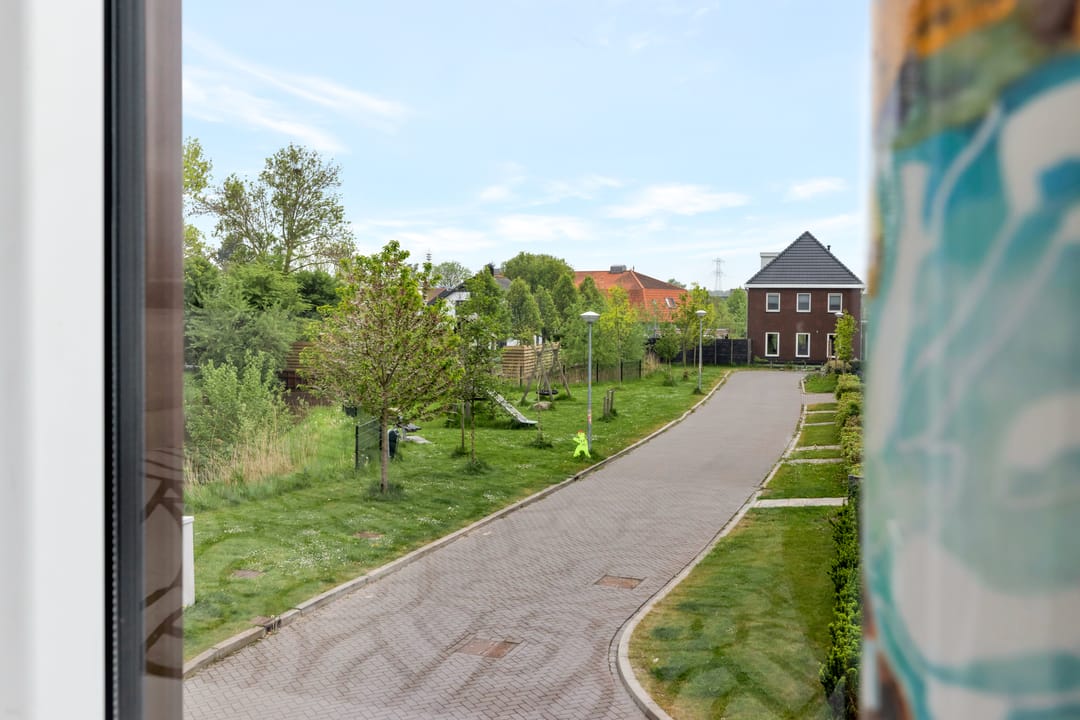 Photo 16 of Boterbloem 24
