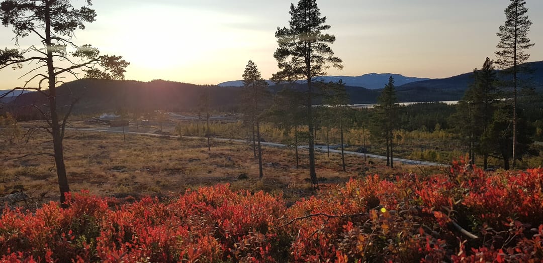 Foto 2 van Robølshøvda 18
