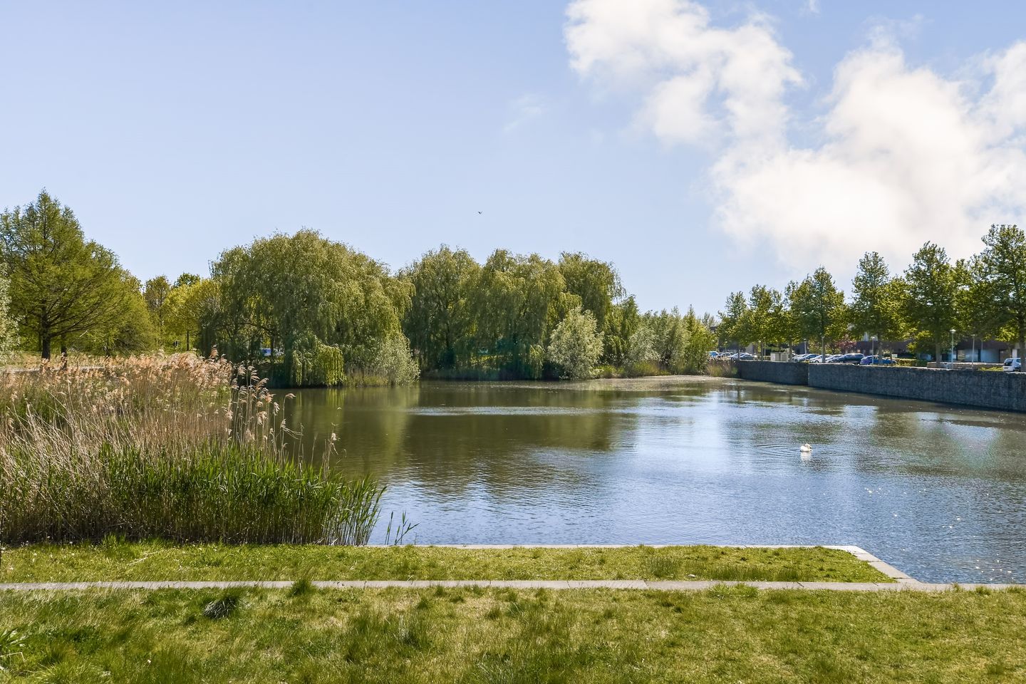 Foto 4 van Mantegnaplantsoen 6