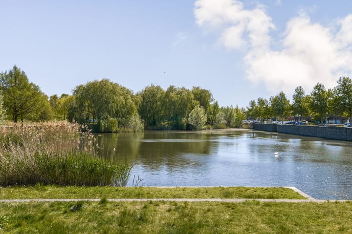 Foto 4 van Mantegnaplantsoen 6