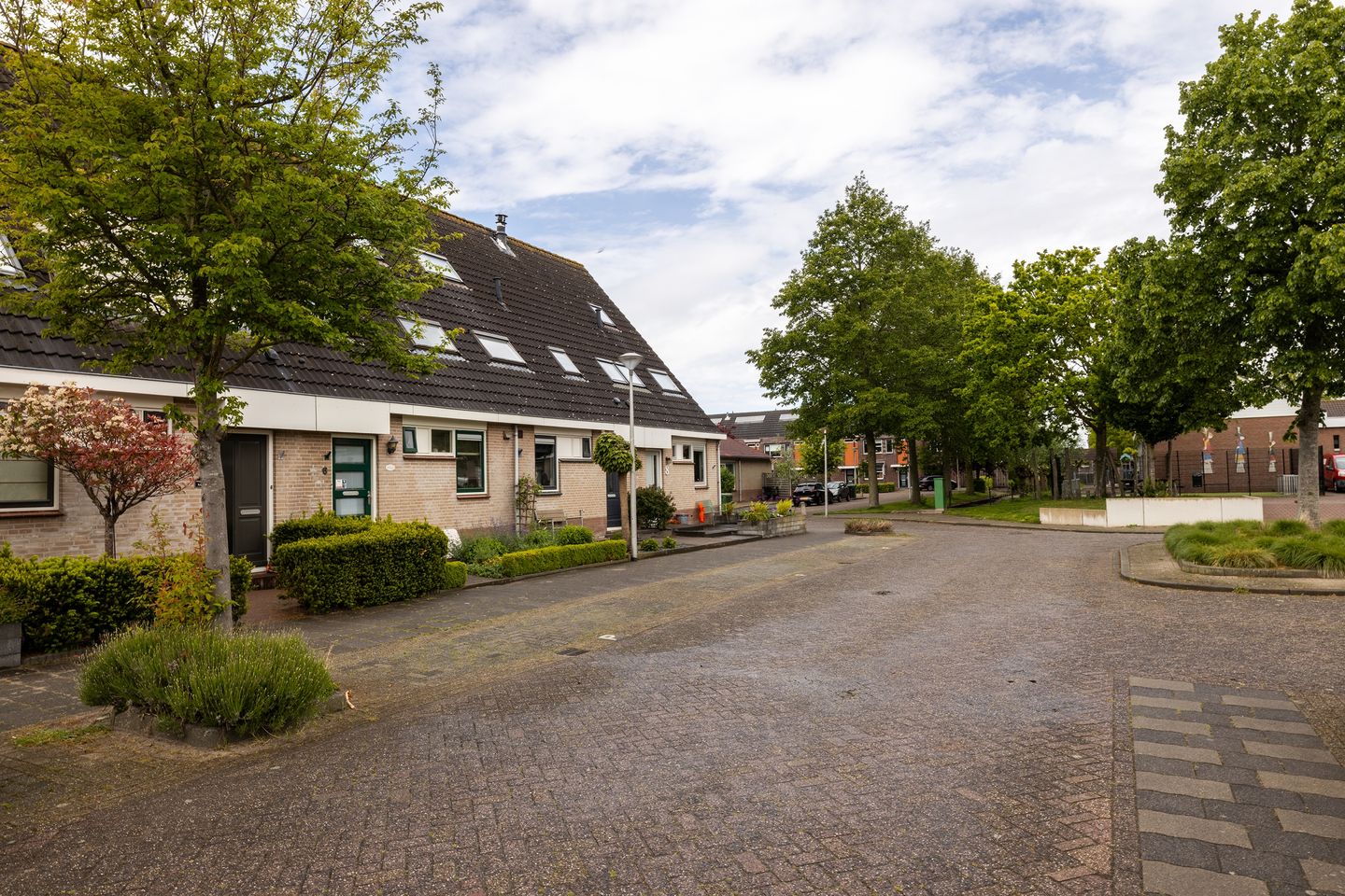 Foto 10 van Anemoon 7