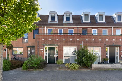 Jan Boudesteinstraat thumbnail