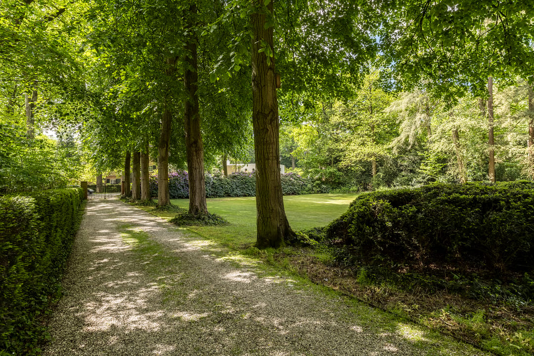 Photo 32 of Bredaseweg 389