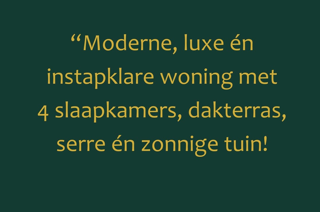 Foto 7 van Rutger Metelerkamppad 18