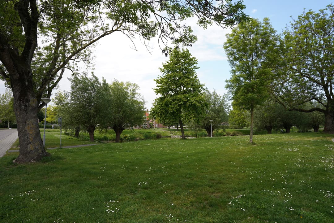 Foto 41 van Noordwal 42