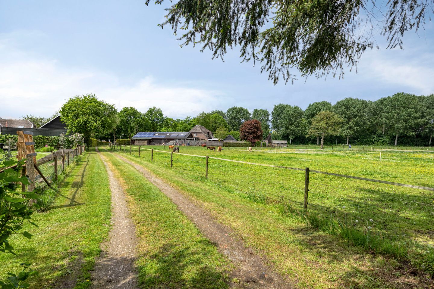 Photo 29 of Ganzenebbeweg 3