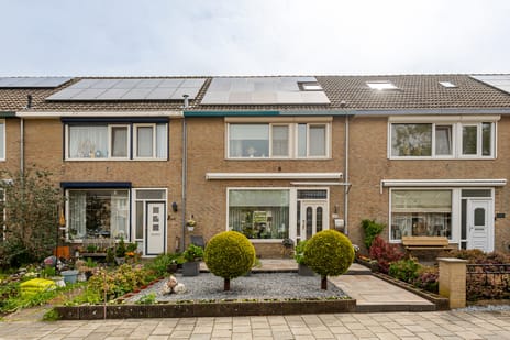 Merelstraat thumbnail