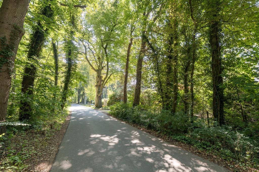 Foto 58 van Oude Meentweg