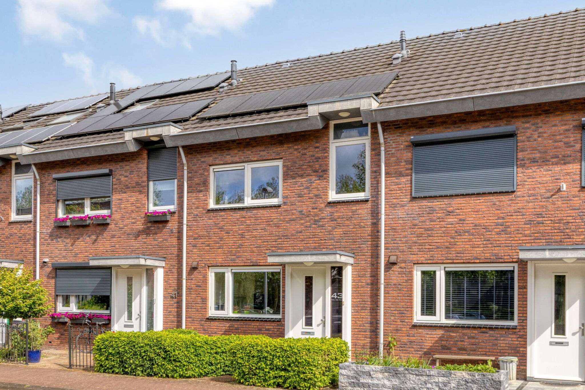 MacBridestraat 43 