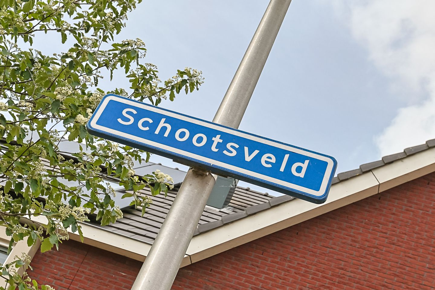 Foto 49 van Schootsveld 13