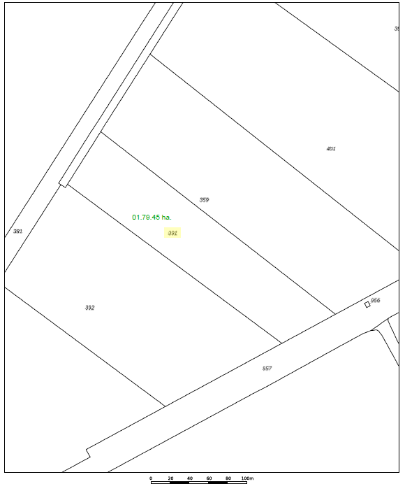 Woldweg - Nieuw-Weerdinge - Afbeelding 4