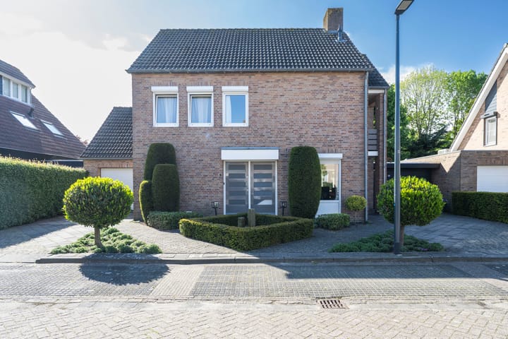 Foto 4 van Watersnip 6