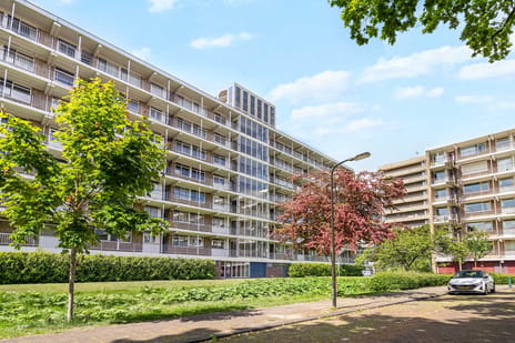 Steenvoordelaan thumbnail