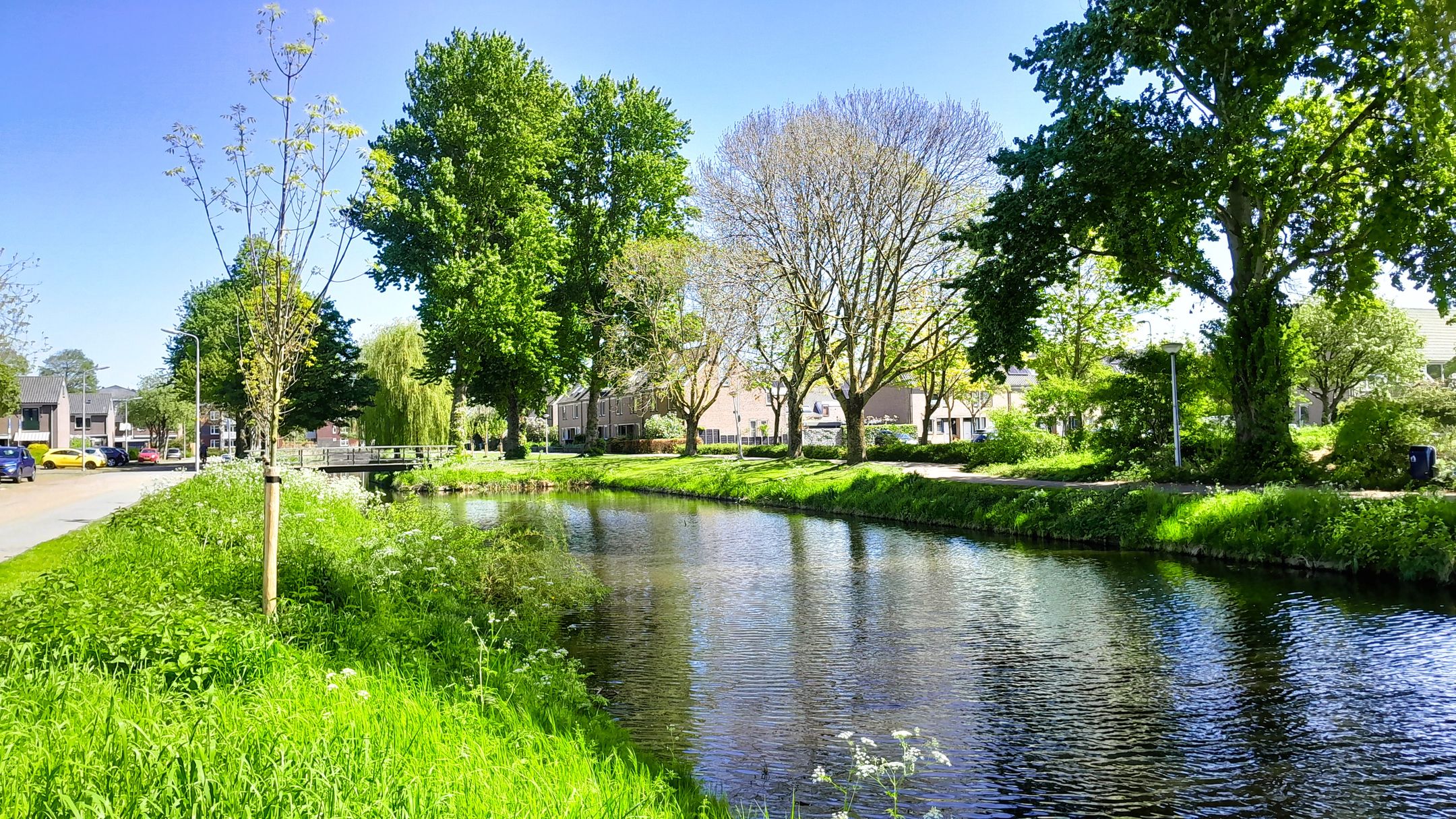 Photo 36 of Albrechtstraat 30